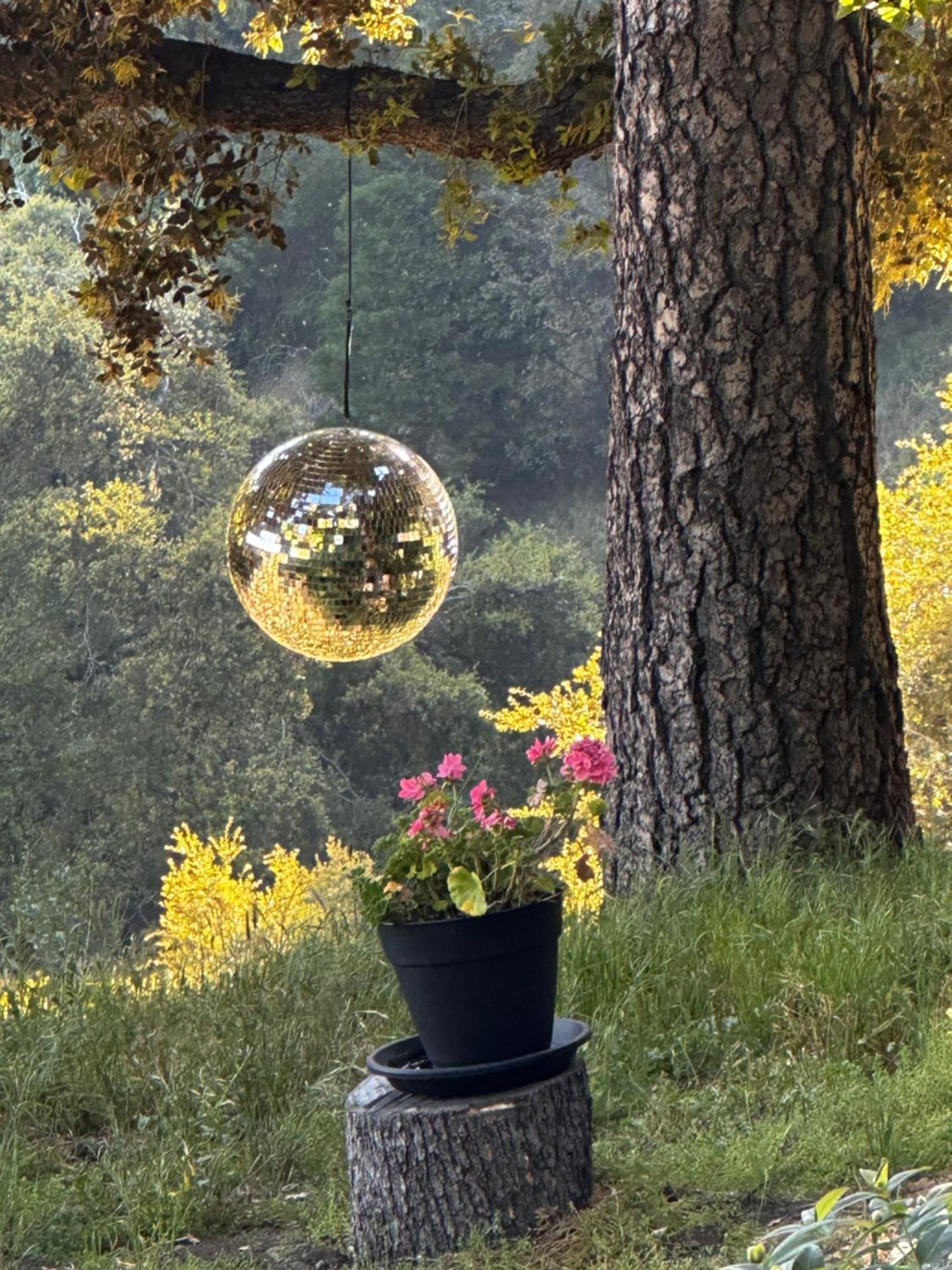 100 Mile View-Fire Pit, Romantic, Peaceful, Private Crestline Exteriör bild