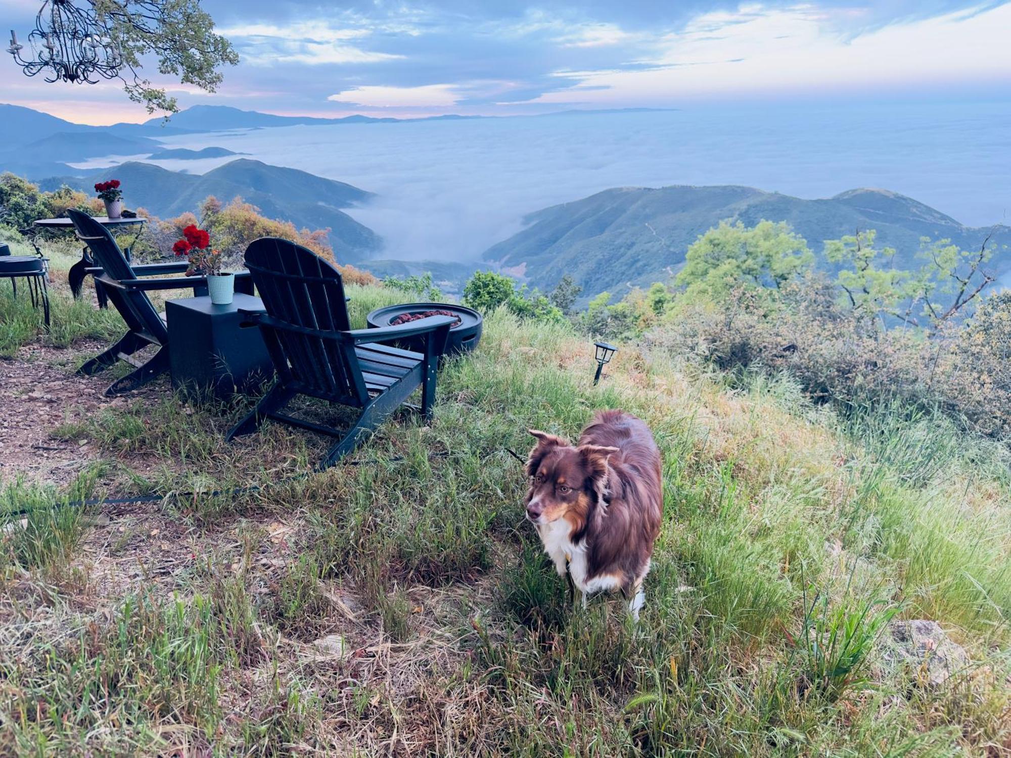 100 Mile View-Fire Pit, Romantic, Peaceful, Private Crestline Exteriör bild